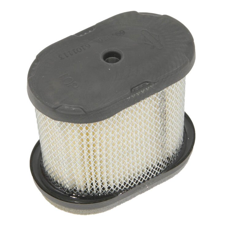 Briggs &amp; Stratton&reg; Part Number 697029. Air Filter
