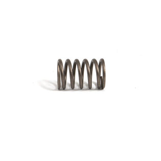 SPRING-VALVE