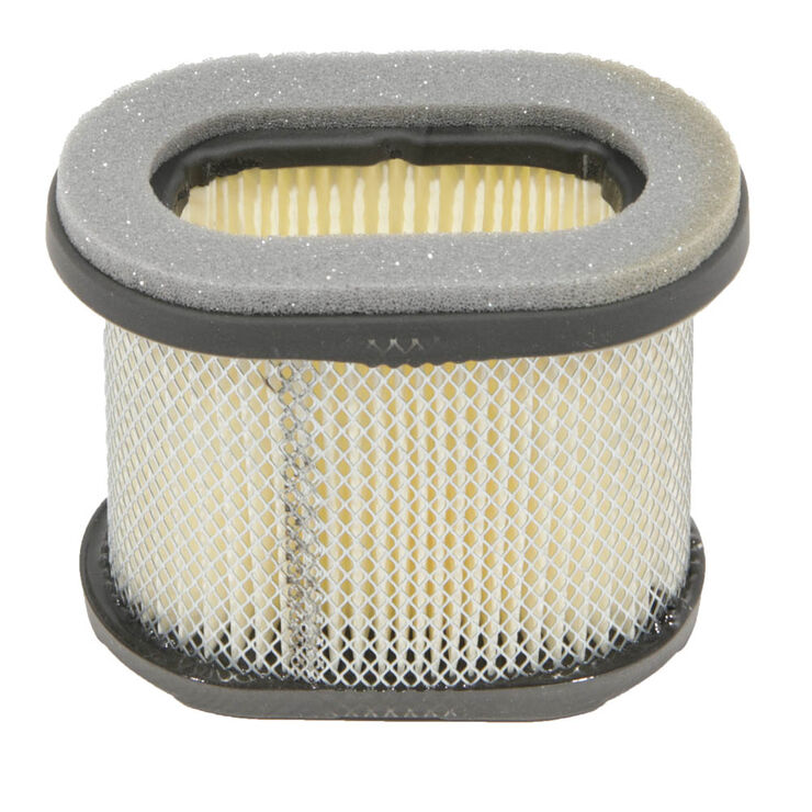 Briggs &amp; Stratton&reg; Part Number 697029. Air Filter