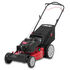 TB215T Self-Propelled Lawn Mower