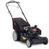 TB215T XP Self-Propelled Lawn Mower