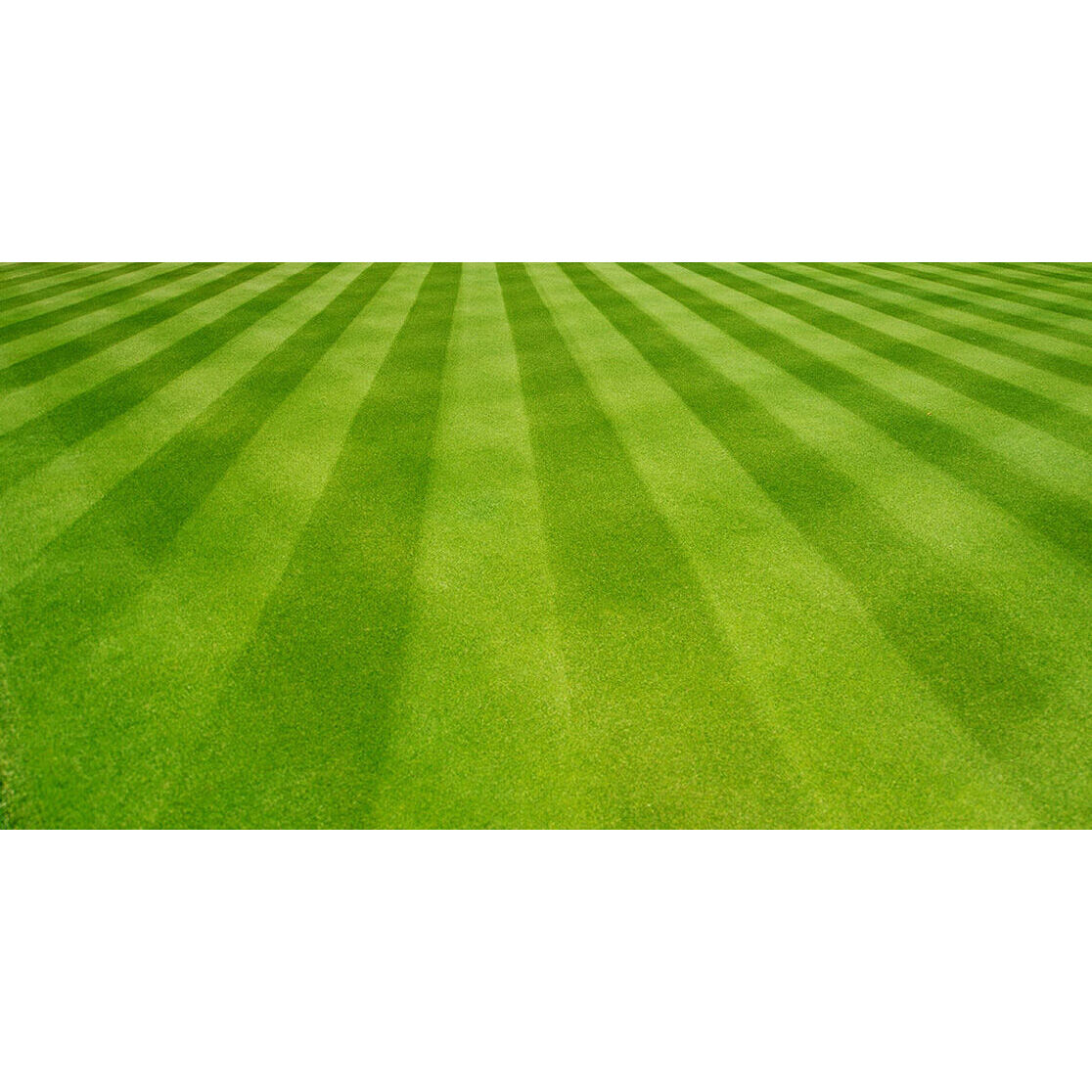 Lawn Striping Kit for 50 and 54 inch Decks
