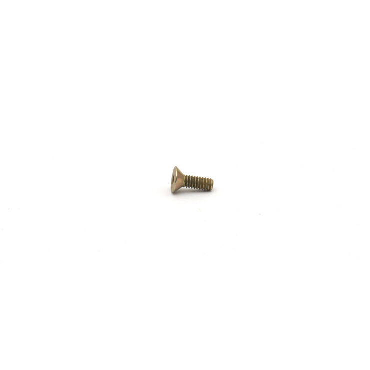 Screw-Flat Head Ca