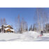 Troy-Bilt&reg; Storm&trade; 2890 Snow Blower Clearing Driveway