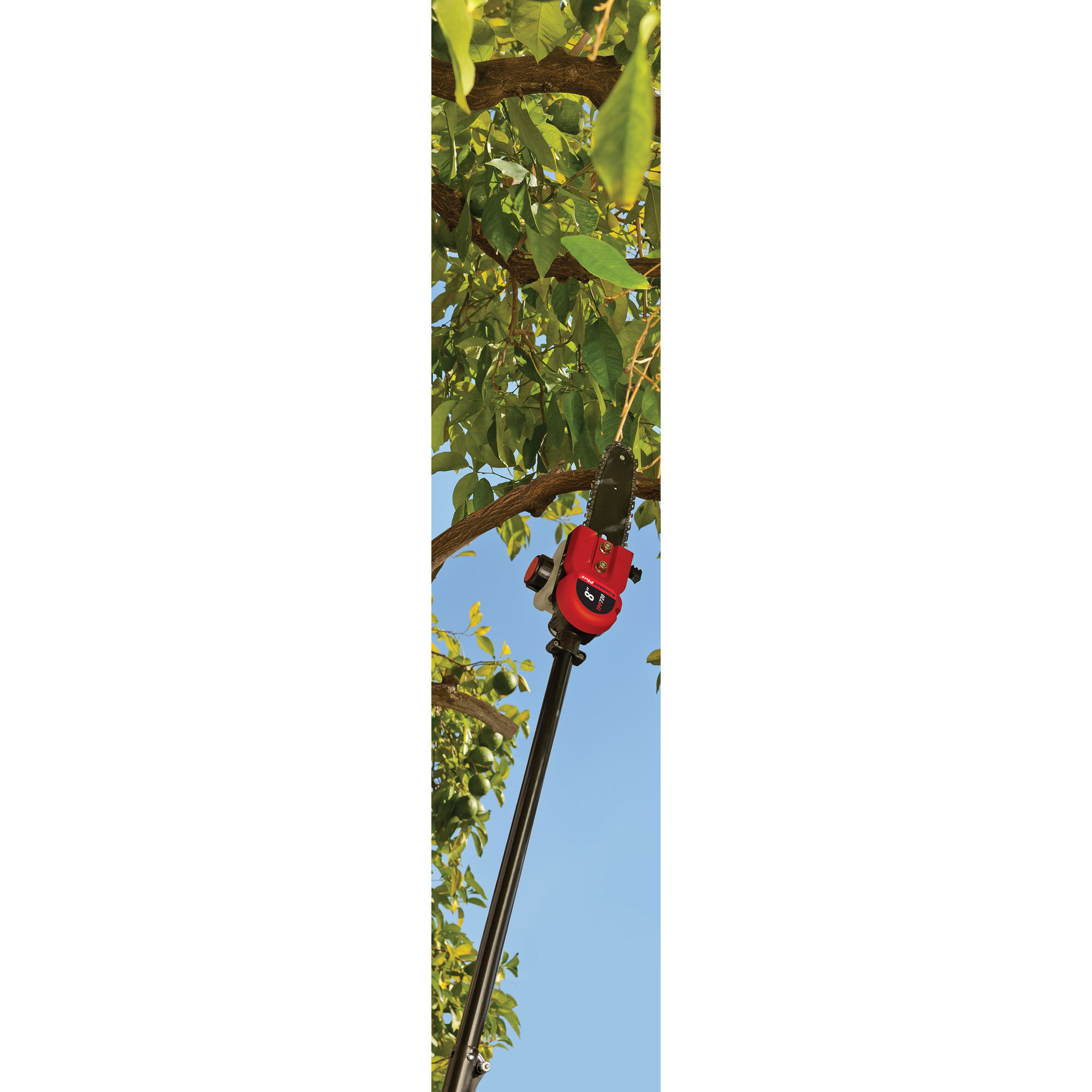 TrimmerPlus Add On Pole Saw