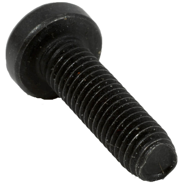Screw M5-0.8 x 19