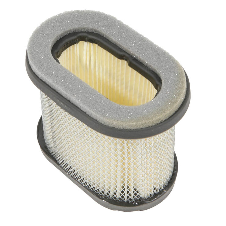 Briggs &amp; Stratton&reg; Part Number 697029. Air Filter