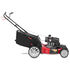 TB215T Self-Propelled Lawn Mower