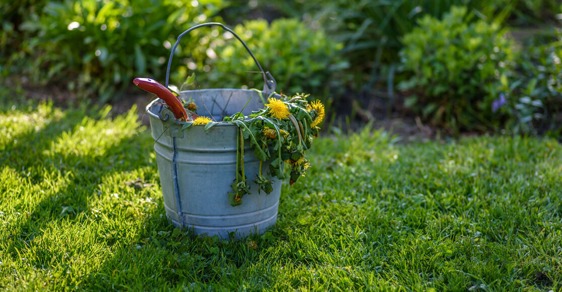 What Gardening Projects Help Relieve Stress? TroyBilt CA