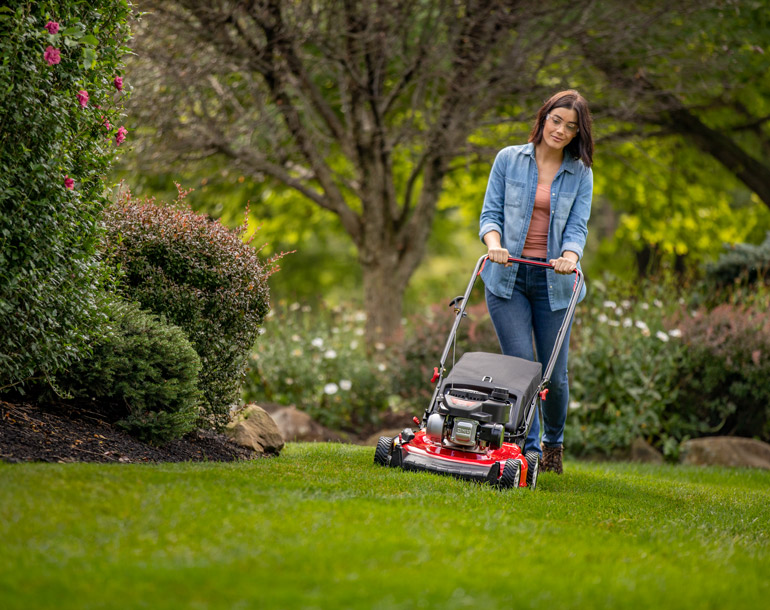 Cheap walk behind lawn discount mowers