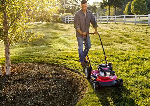 Push Mowers  Troy-Bilt CA